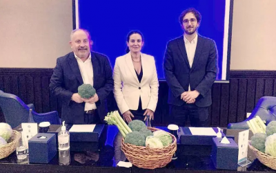 Fruit and vegetables from the Region of Murcia take prominent positions in the Middle East